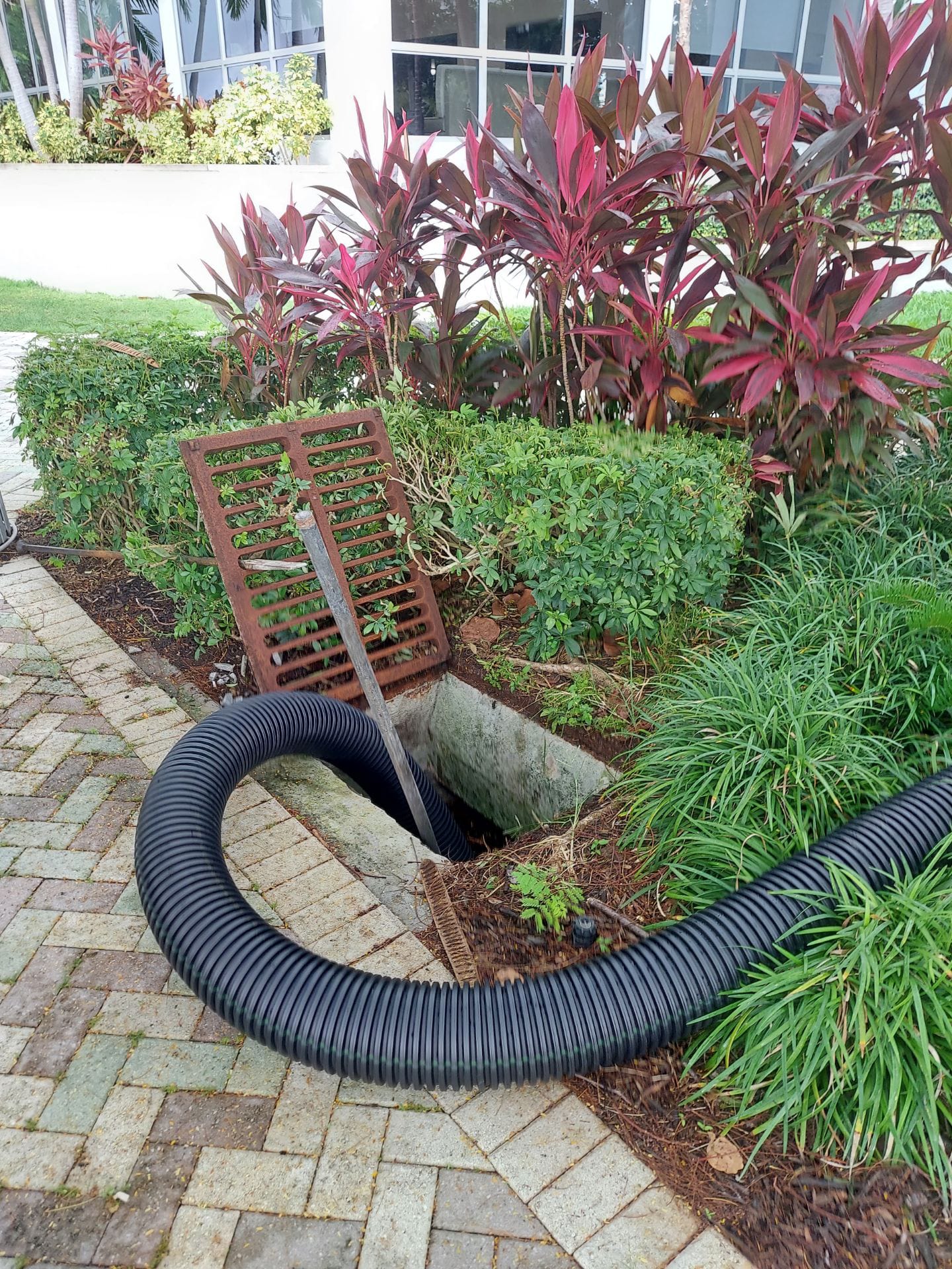 Storm Drain Cleaning